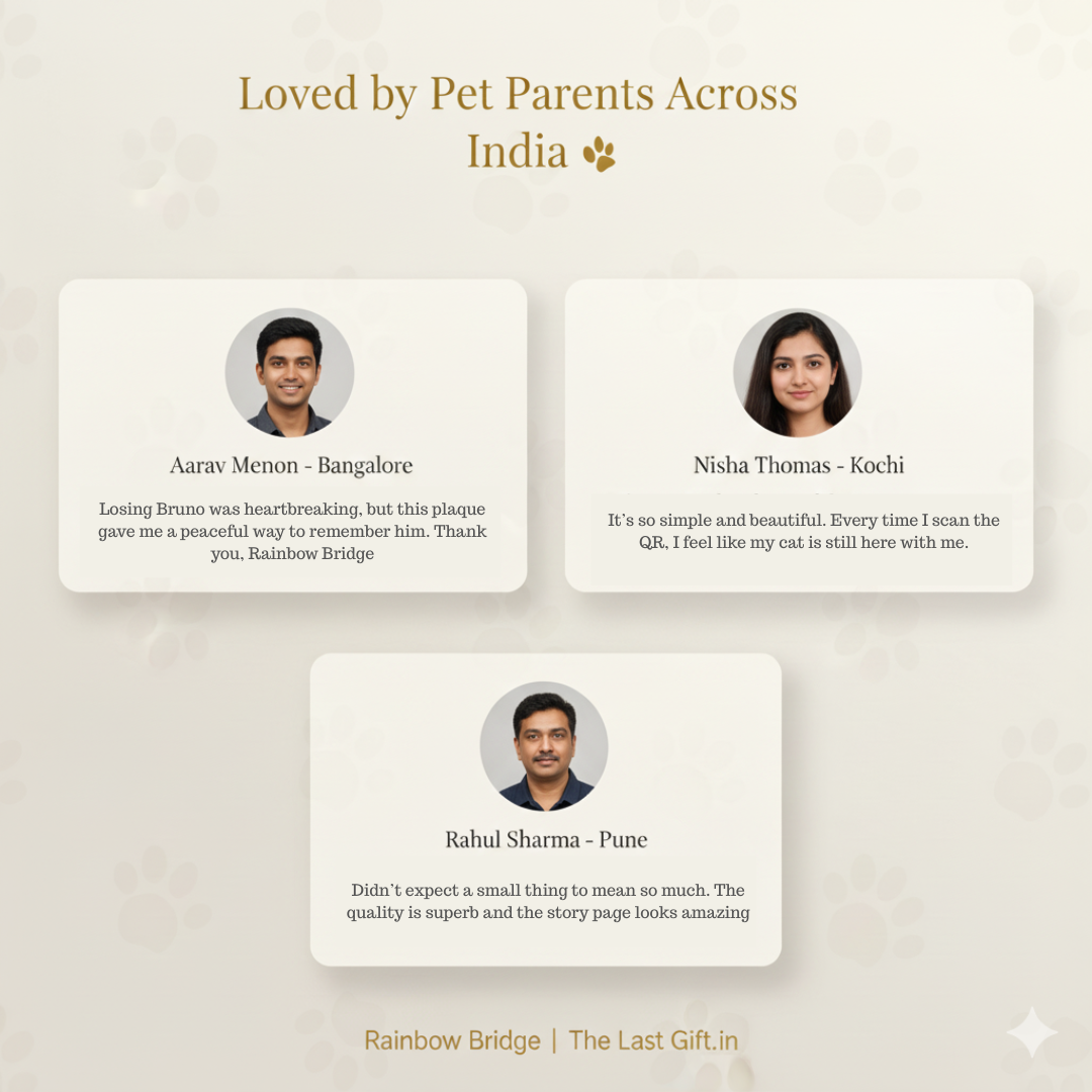 Rainbow Bridge QR | Pet Memorial QR